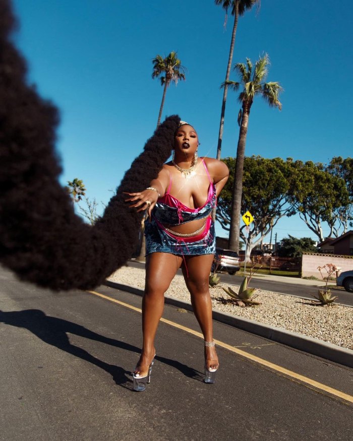 Lizzo’s Rapunzel Ponytail Is Made of 40 Extensions Instagram