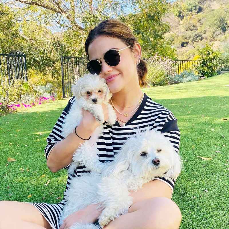 Lucy Hale Stars Who Adopted Dogs Amid the Pandemic