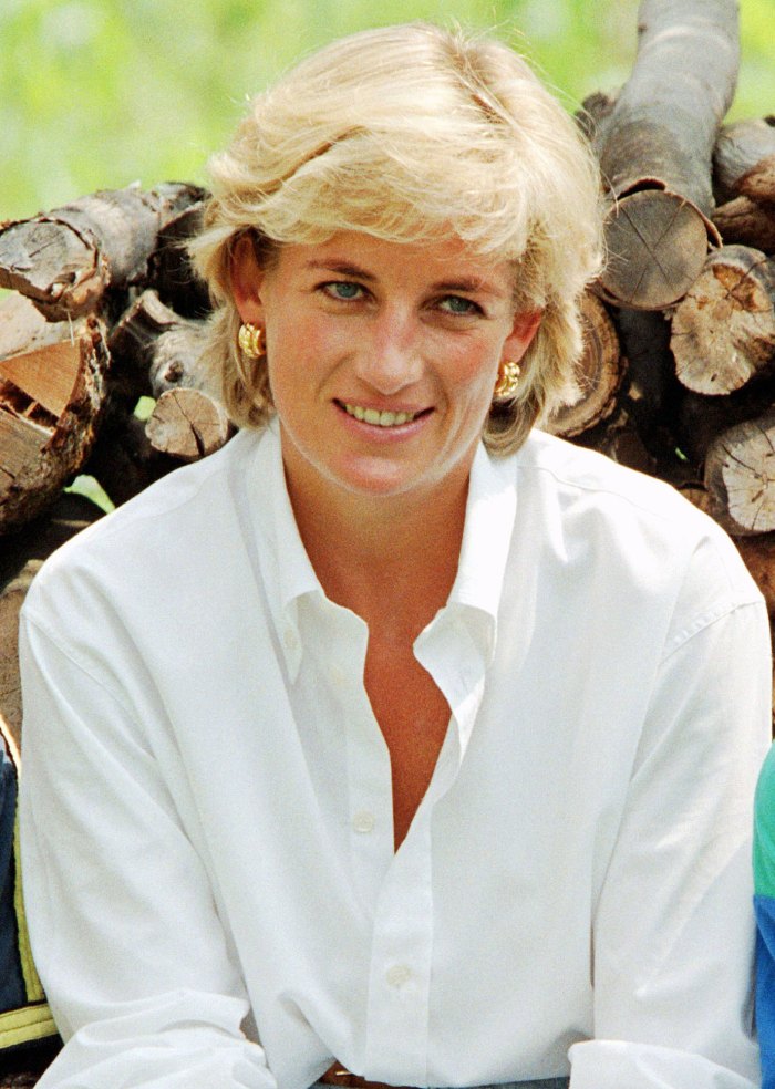 Princess Diana Prince Harry and William Mend Rift UK Return Visit