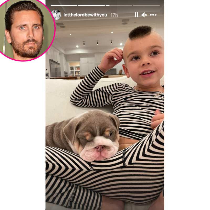 Scott Disick and More Stars Who've Adopted or Fostered Pets During COVID-19