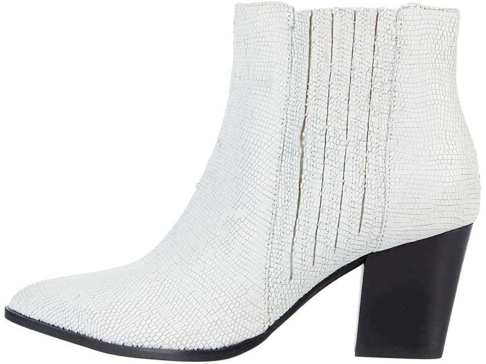 Seychelles-Fare-White-Lizard