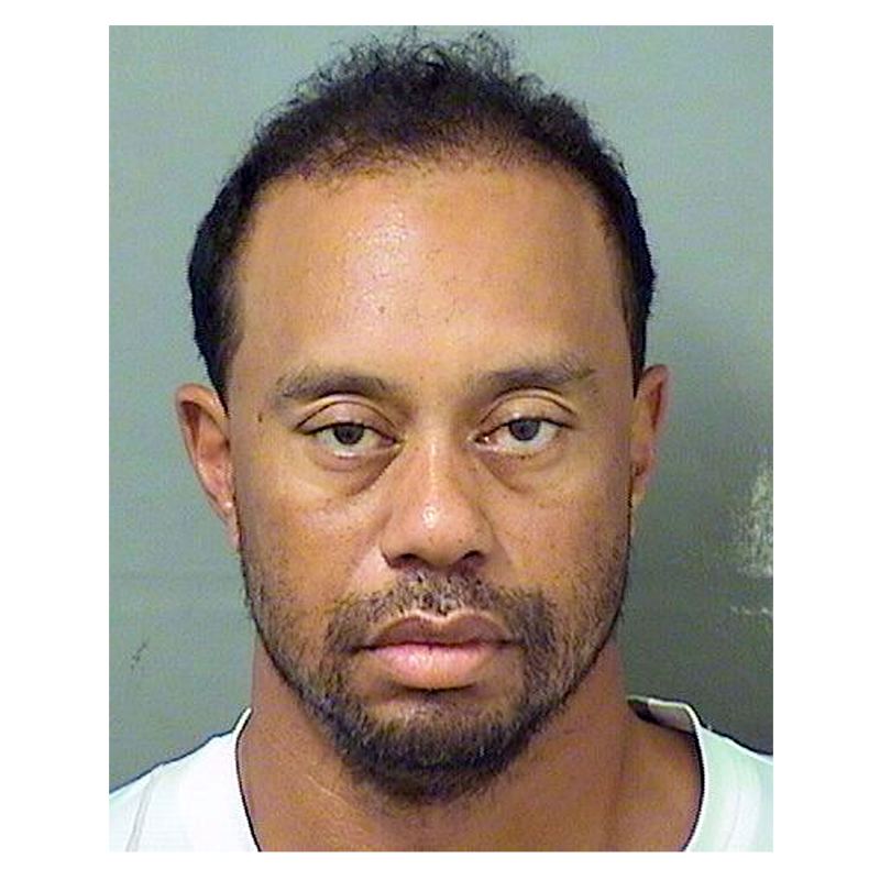 2017 Tiger Woods Ups Downs Through Years