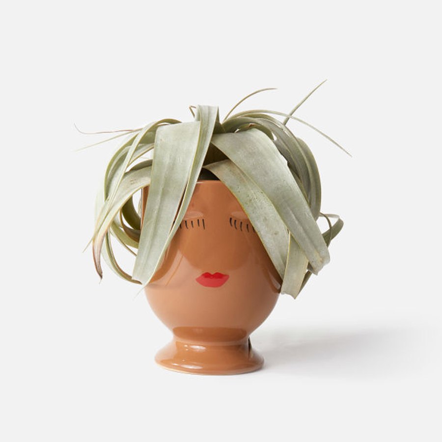 urbanstems-cathy-pot