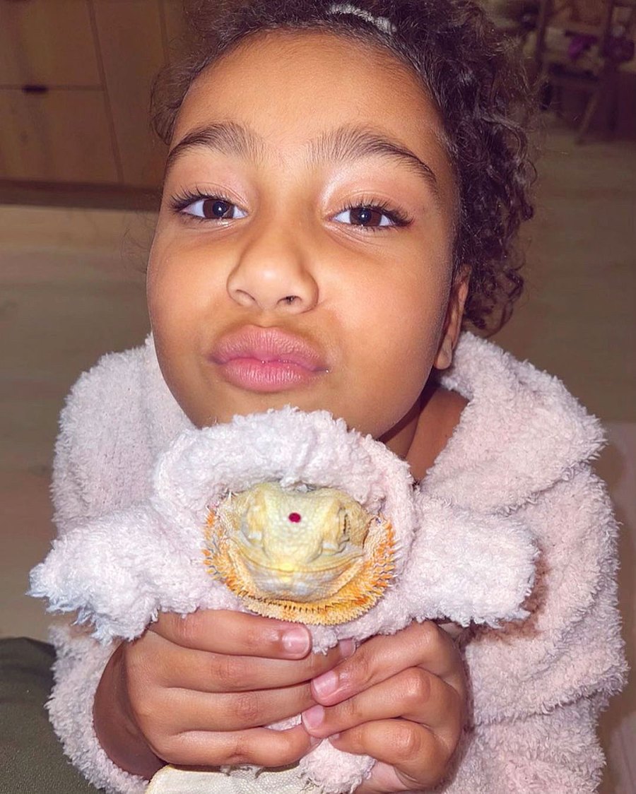 North Wests Lizard Rocks Her Mom Kim Kardashians Skims Merchandise