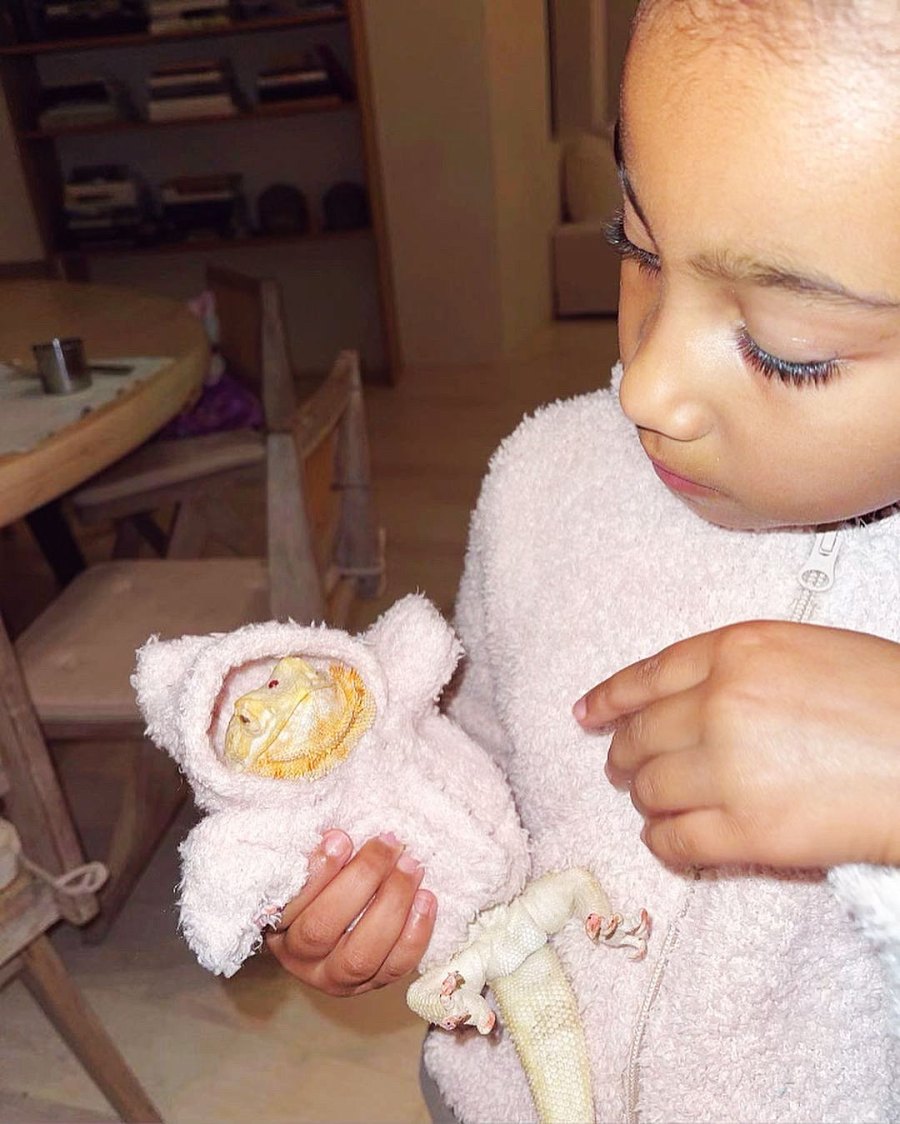 North Wests Lizard Rocks Her Mom Kim Kardashians Skims Merchandise
