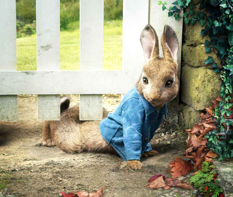 Peter Rabbit 15 TV Shows Movies Perfect Every Easter Lover
