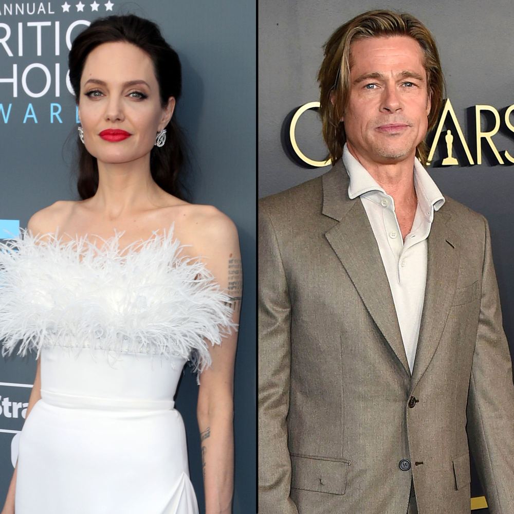 Angelina Jolie Domestic Violence Claims Against Brad Pitt Have Taken a Toll
