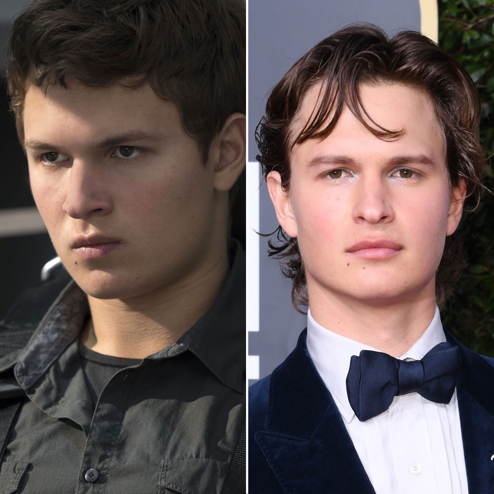 Ansel Elgort Divergent Cast Where Are They Now