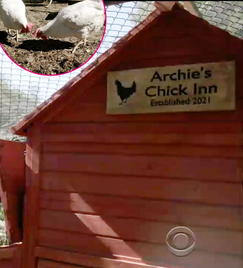 Archies Chick Inn