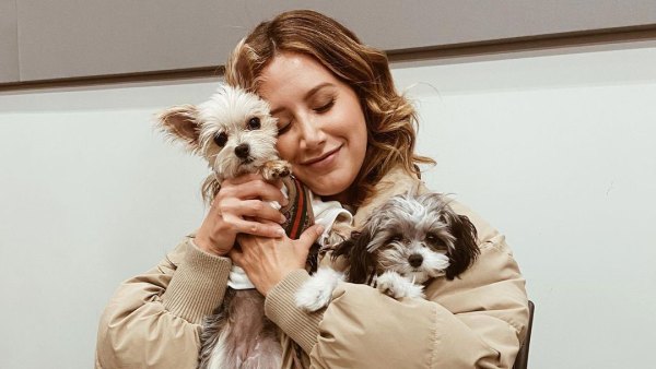 Ashley Tisdale Jokes Her Dog Will Miss Her Baby Bump