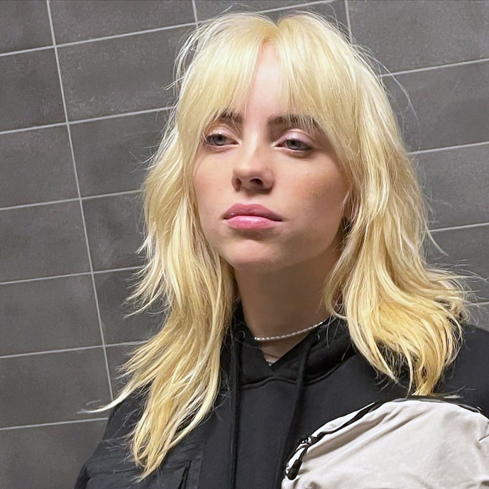 Billie Eilish Looks So Different Without Green and Black Hair: Pic