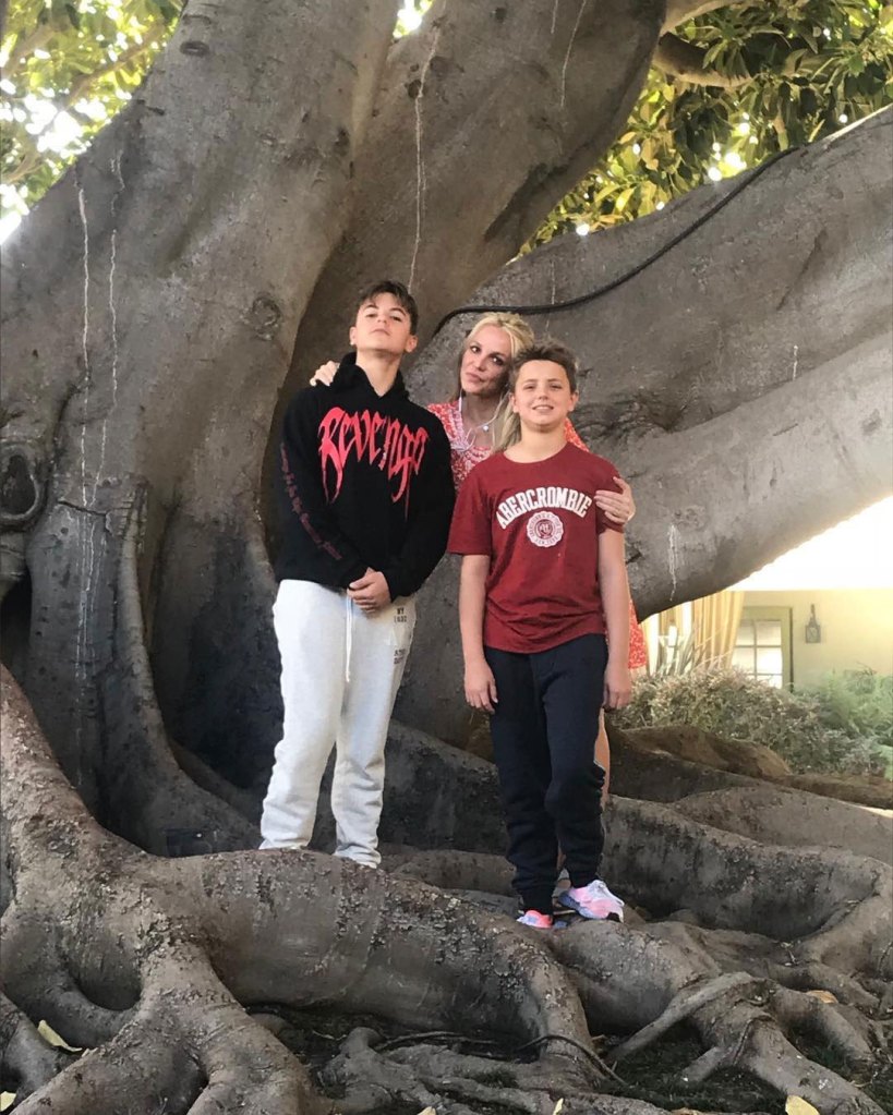 Britney Spears Sons Sean Preston and Jayden Big tree