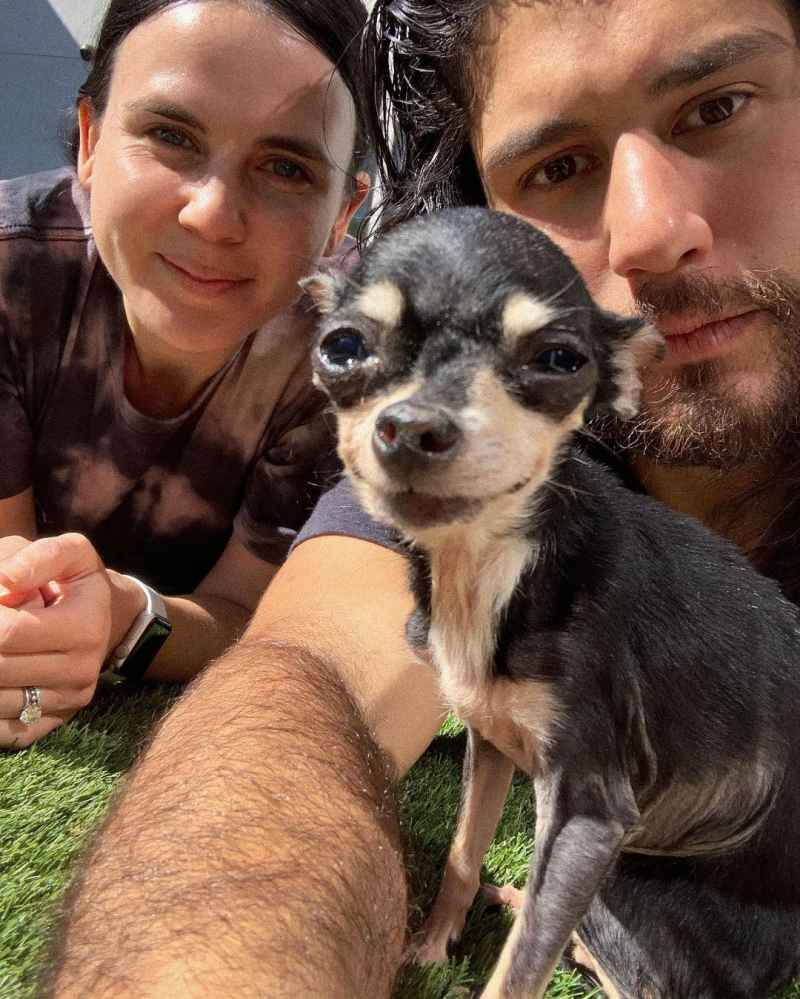 Dan Smyers Abby Smyers Adopt Dog During COVID