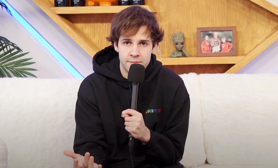 Davids Response David Dobrik Dropped by Brands Amid Vlog Squad Assault Allegations