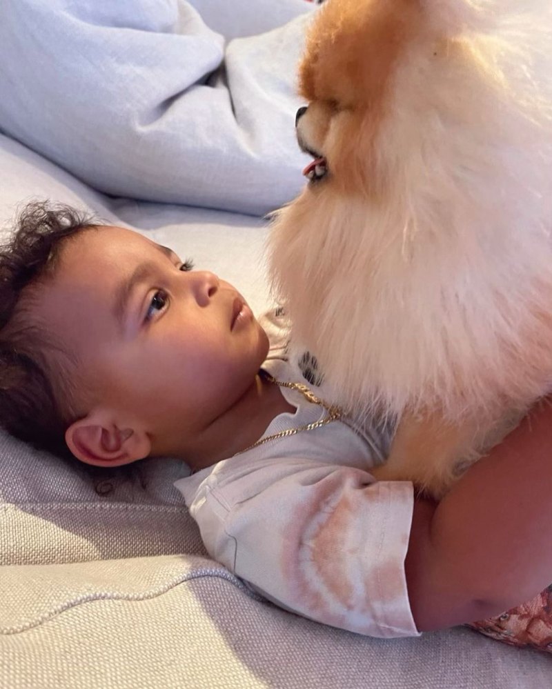 Dog Days! See Kim Kardashian and Kanye West's 2nd Son Psalm’s Cute Pics