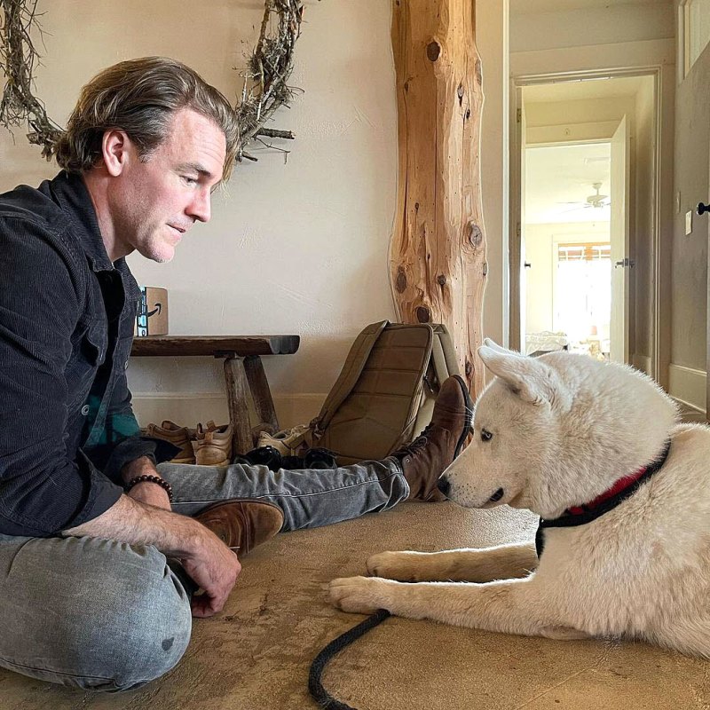 James Van Der Beek Family Say They Feel Blessed After Adopting Dog