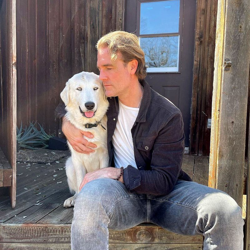 James Van Der Beek Family Say They Feel Blessed After Adopting Dog