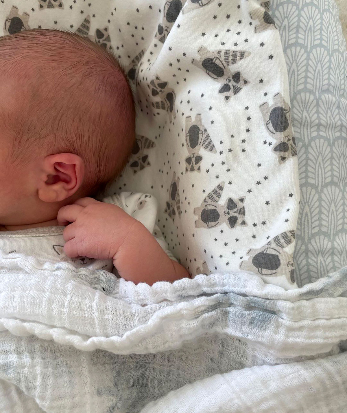 Mandy Moore and Taylor Goldsmith’s Son August’s Baby Album: Pics