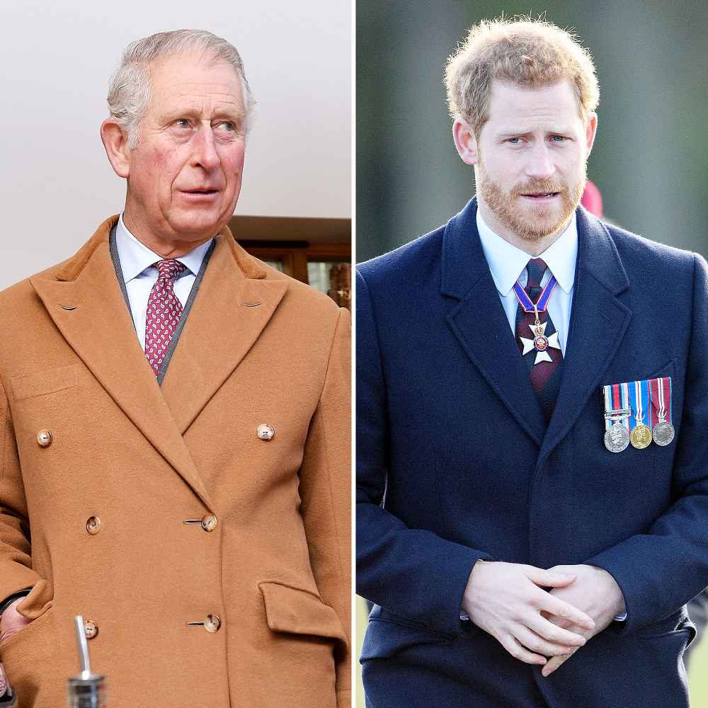Prince Charles Doesnt Agree With Prince Harry Trashing Royal Family