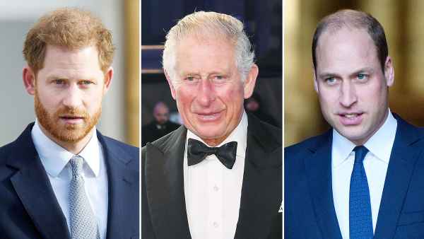 Prince Harry Feels Let Down by Father Prince Charles and Talks Brother Prince William