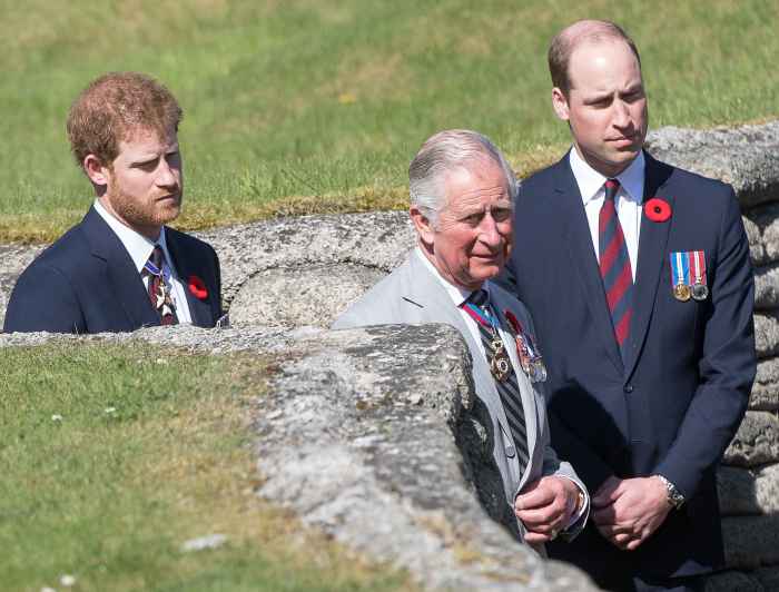 Prince Harry Has Spoken to Prince Charles and Prince William 
