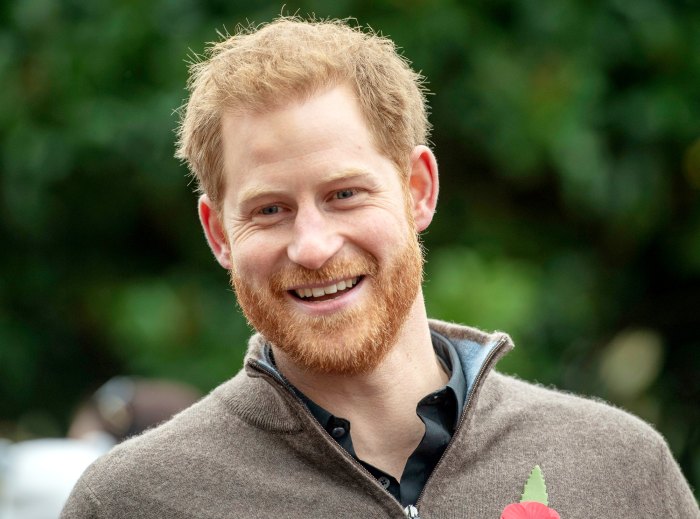 Prince Harry Joins Aspen Institutes Commission Against Misinformation