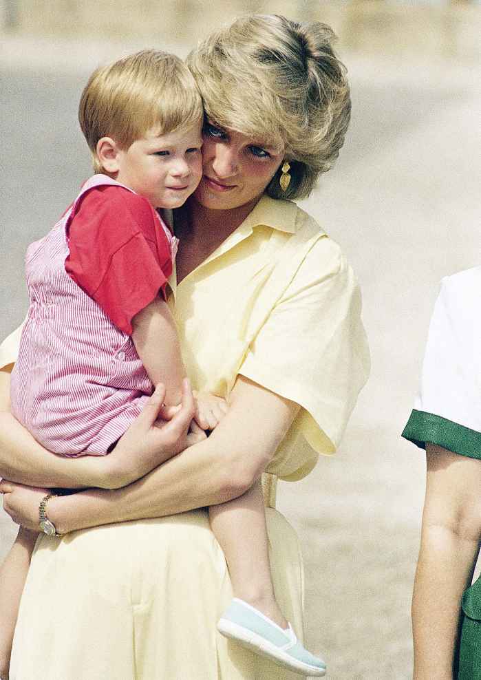Prince Harry Shares How Late Princess Diana Would Feel About Him Leaving the Royal Family
