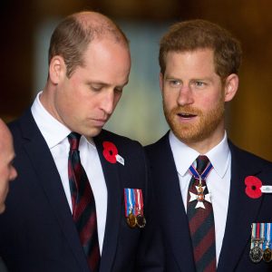 Prince Harry Tried to Help Prince William From Being Trapped as a Royal