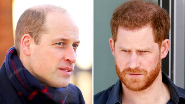 Prince William Is 'Fuming' Over Prince Harry's Trapped Remarks