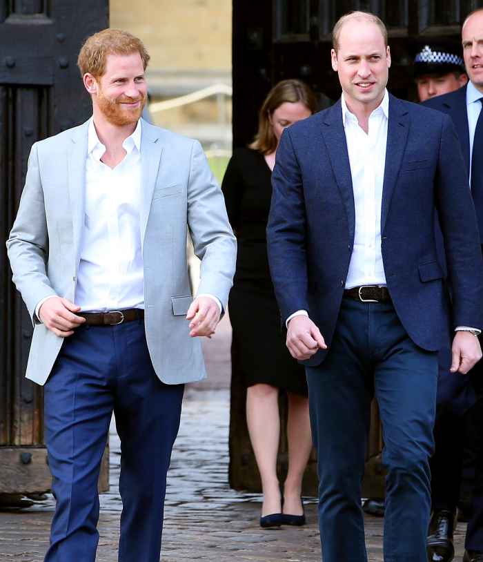 Prince William, Prince Harry Plan Reunion After Bombshell Interview