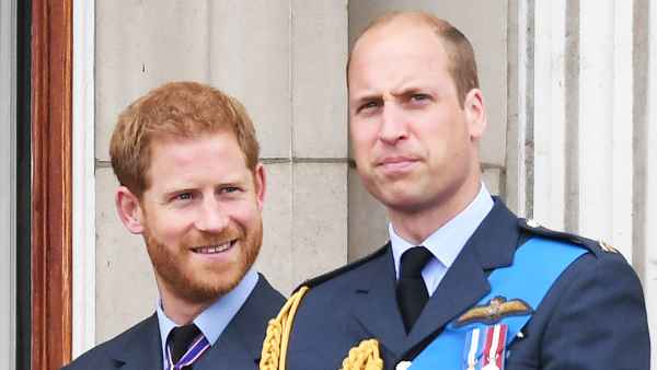 Prince William Uncomfortable With Harry After Leaked Conversations