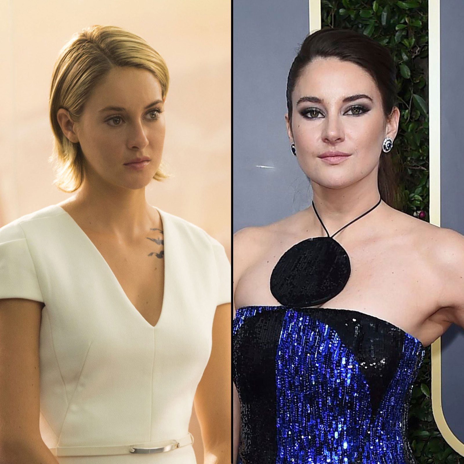 Shailene Woodley Divergent Cast Where Are They Now