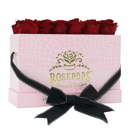 Mom's Crocodile Keeper by the Dozen