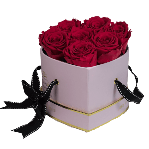 Mom's Midi but Mighty