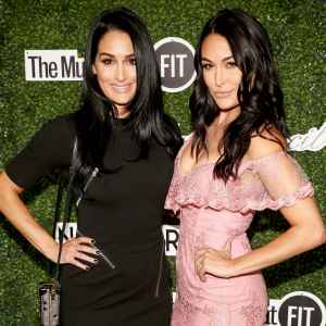 Nikki Bella and Brie Bella Share Parenting Dos and Don'ts 1