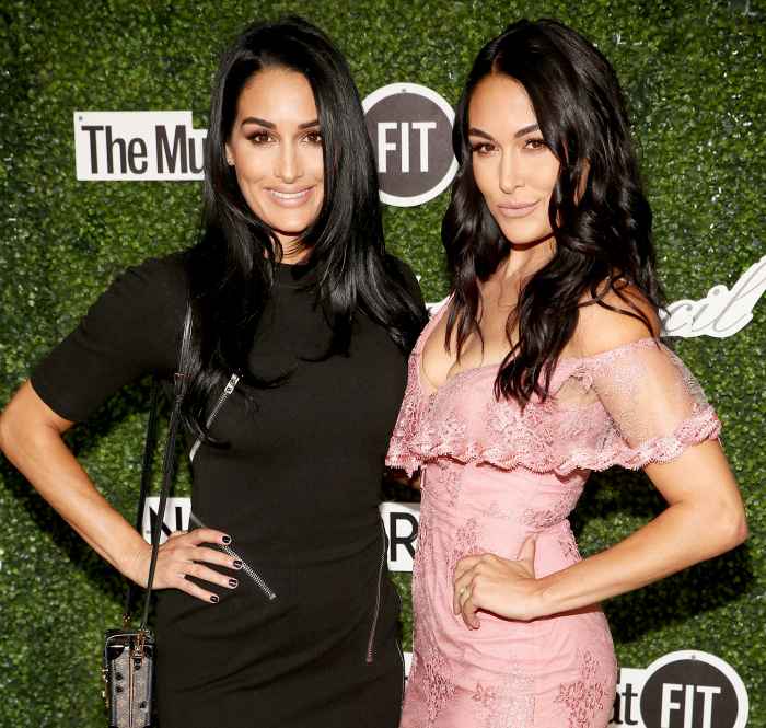 Nikki Bella and Brie Bella Share Parenting Dos and Don'ts 1