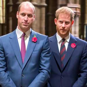Prince Harry and Prince William Haven’t ‘Buried the Hatchet’ Yet