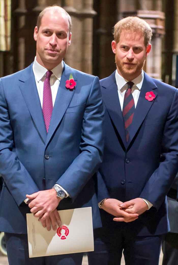 Prince Harry and Prince William Haven’t ‘Buried the Hatchet’ Yet
