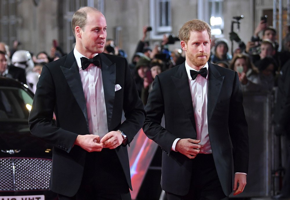 Prince William and Prince Harry Will Put Their Differences Aside at Philip Funeral 2