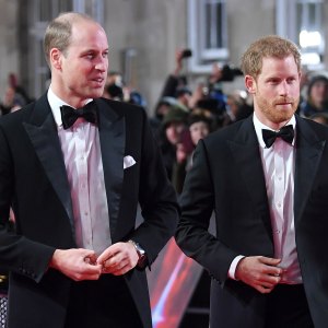 Prince William and Prince Harry Will Put Their Differences Aside at Philip Funeral