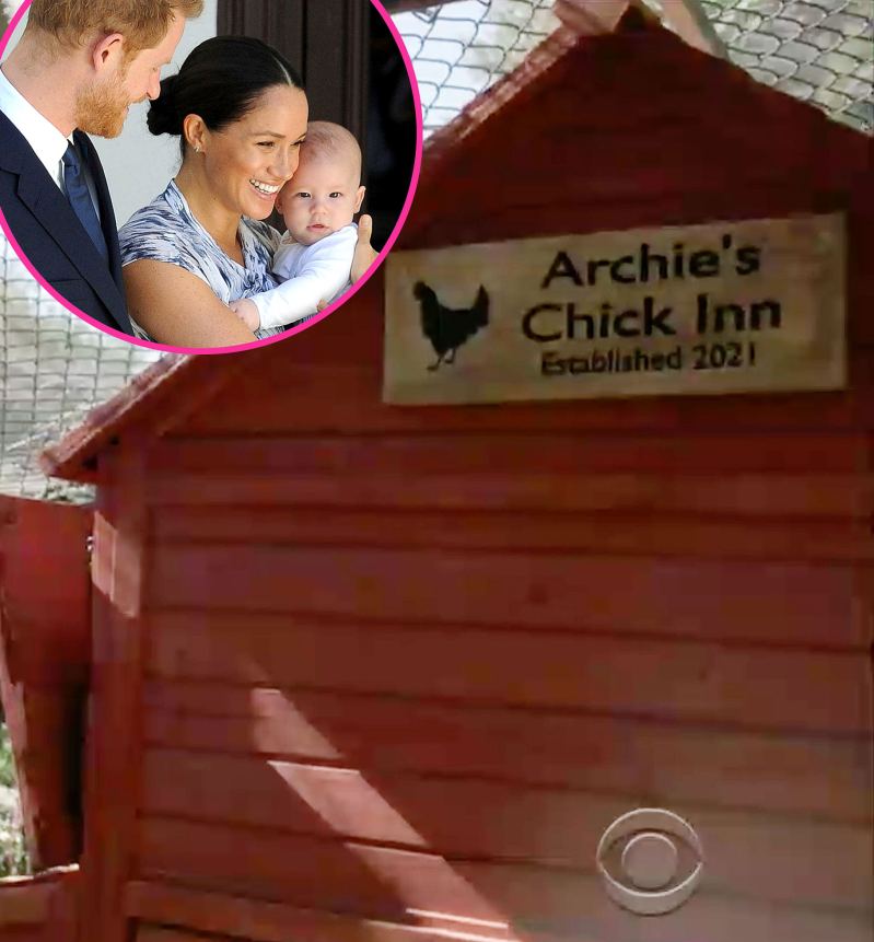 They Raise Chickens Prince Harry Meghan Markle Archie Chick Inn