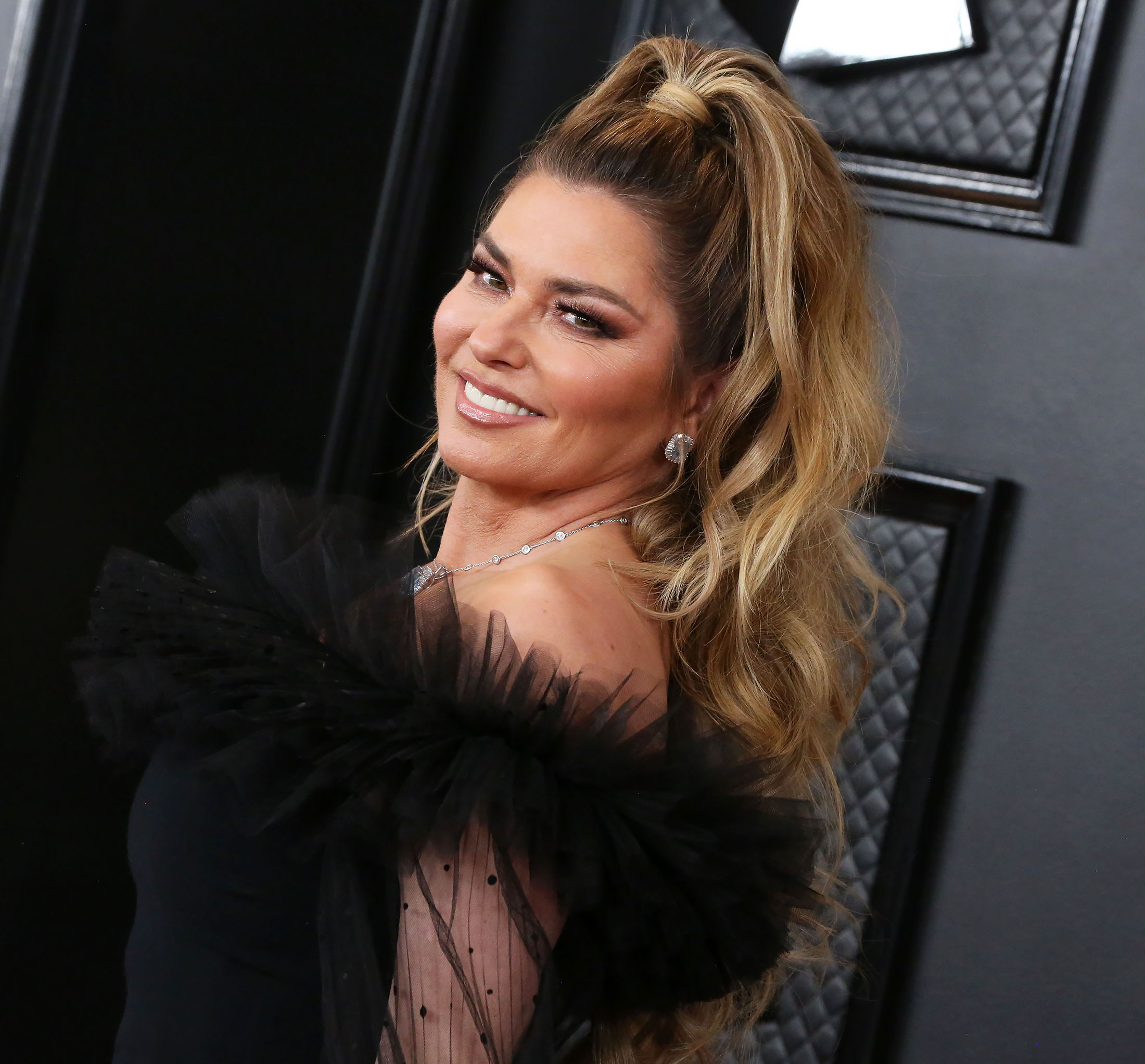 Shania Twain Explains Brad Pitt Reference in 'That Don't Impress Me Much'