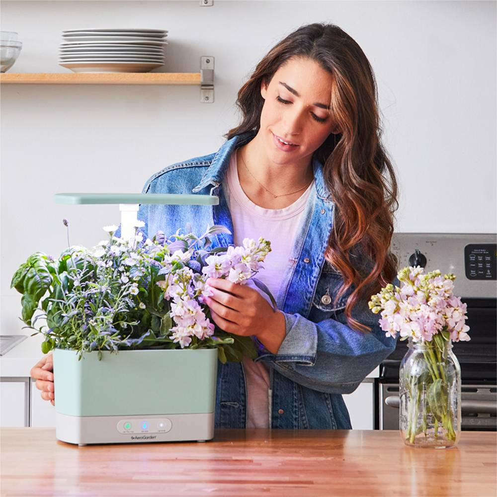 aly-raisman-aerogarden1