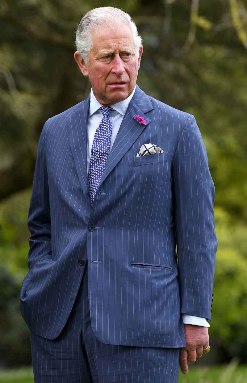 Prince Charles Prince Philip Dead at 99: Prince Harry, Princess Anne and More Royal Family Members React