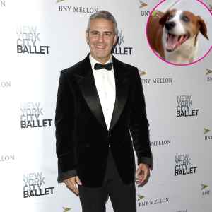 Andy Cohen Reunites With Dog Wacha 1 Year After Rehoming