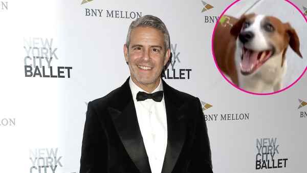 Andy Cohen Reunites With Dog Wacha 1 Year After Rehoming