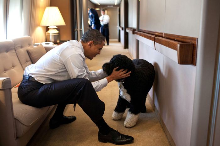 Barack Obama Mourns Dog Bo’s Death: ‘Our Family Lost a True Friend’