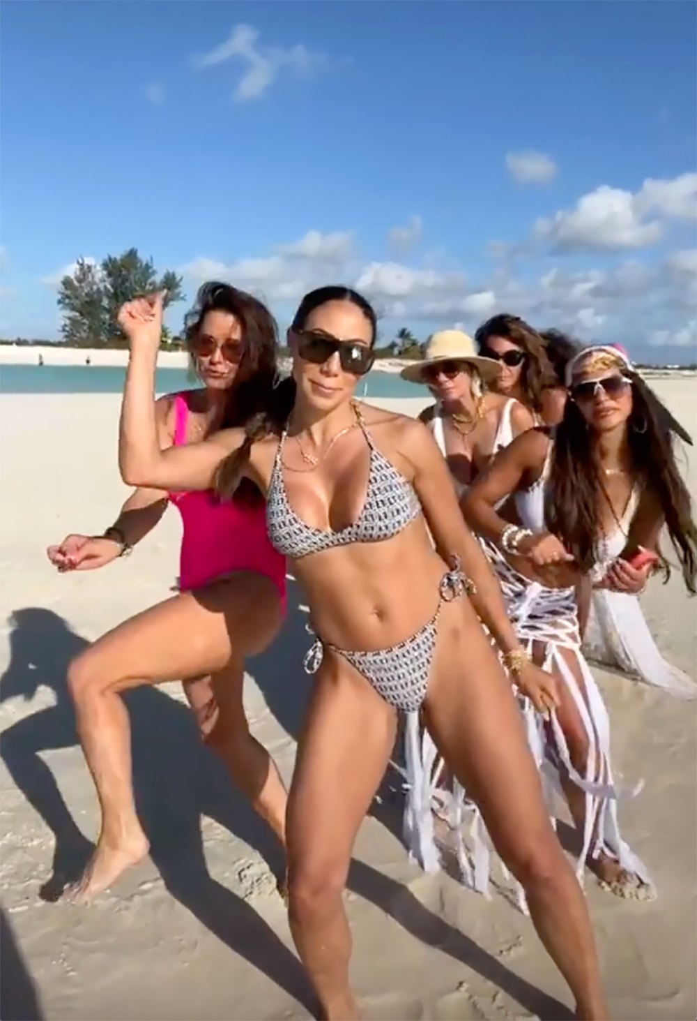 Everything to Unpack in the &lsquo;Real Housewives&rsquo; Mashup Cast&rsquo;s Bikini TikTok