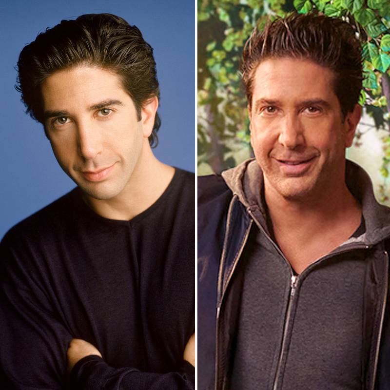 David Schwimmer Friends Cast From Season 1 To HBO Max Reunion