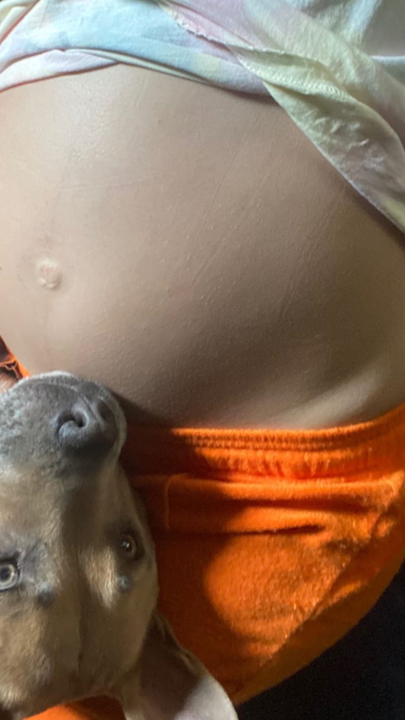 Halsey Shows Their Baby Bump Progress: Pregnancy Pics Dog Days